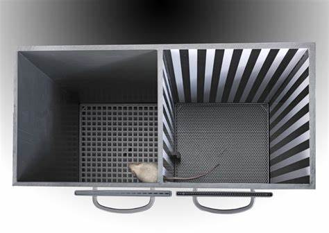 条件性位置偏爱实验系统 | 动物行为学