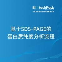 基于SDS-PAGE的蛋白质纯度分析流程