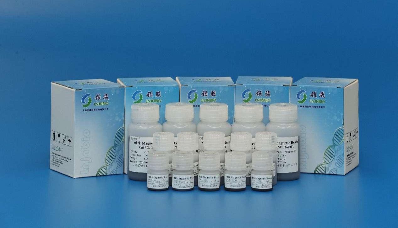 利用磁珠高效精准提取特定大小的DNA片段