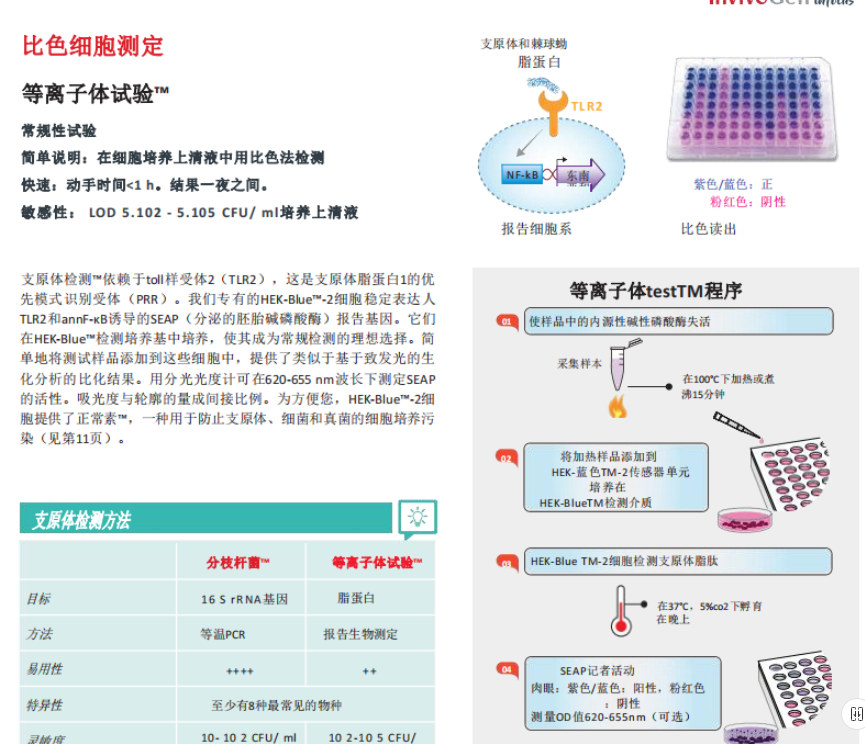 新闻图片9