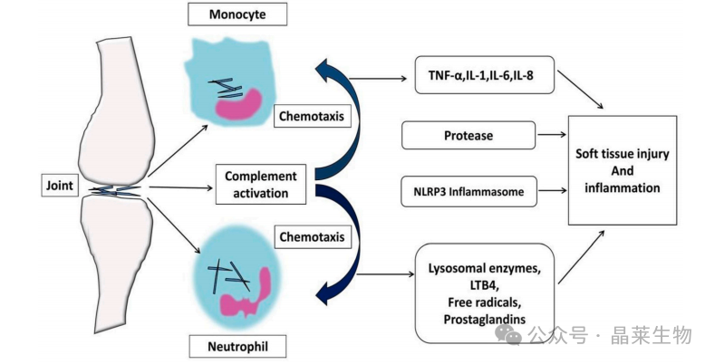1733131282804798.png 640_wx_fmt=png&from=appmsg (5).png