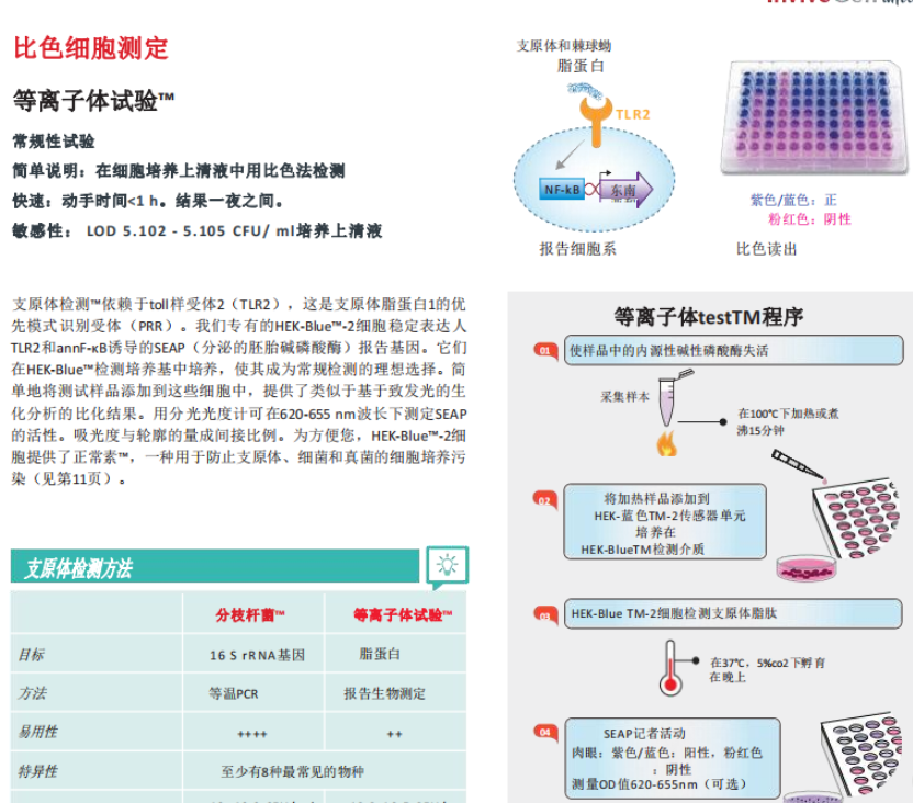 新闻图片11