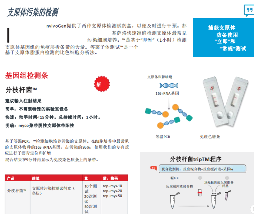 新闻图片8