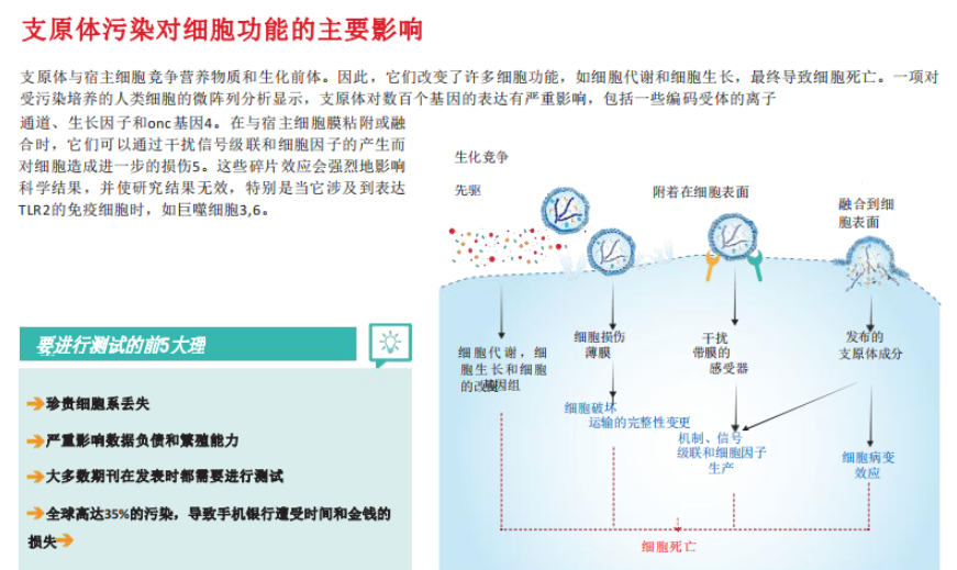 新闻图片7