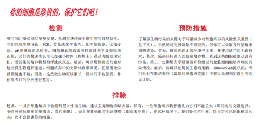 新闻图片4
