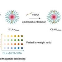 可电离阳离子脂质辅助纳米颗粒
