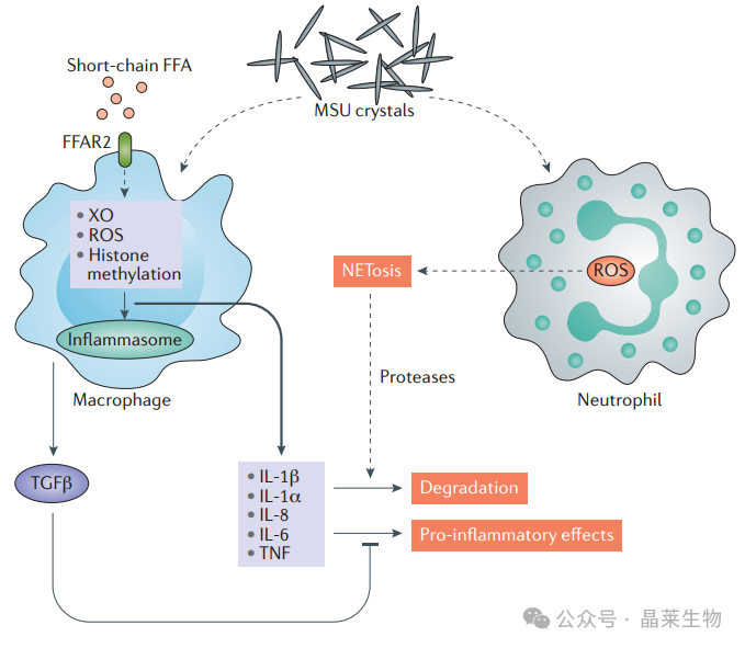 1733131265846902.png 640_wx_fmt=png&from=appmsg (3).png