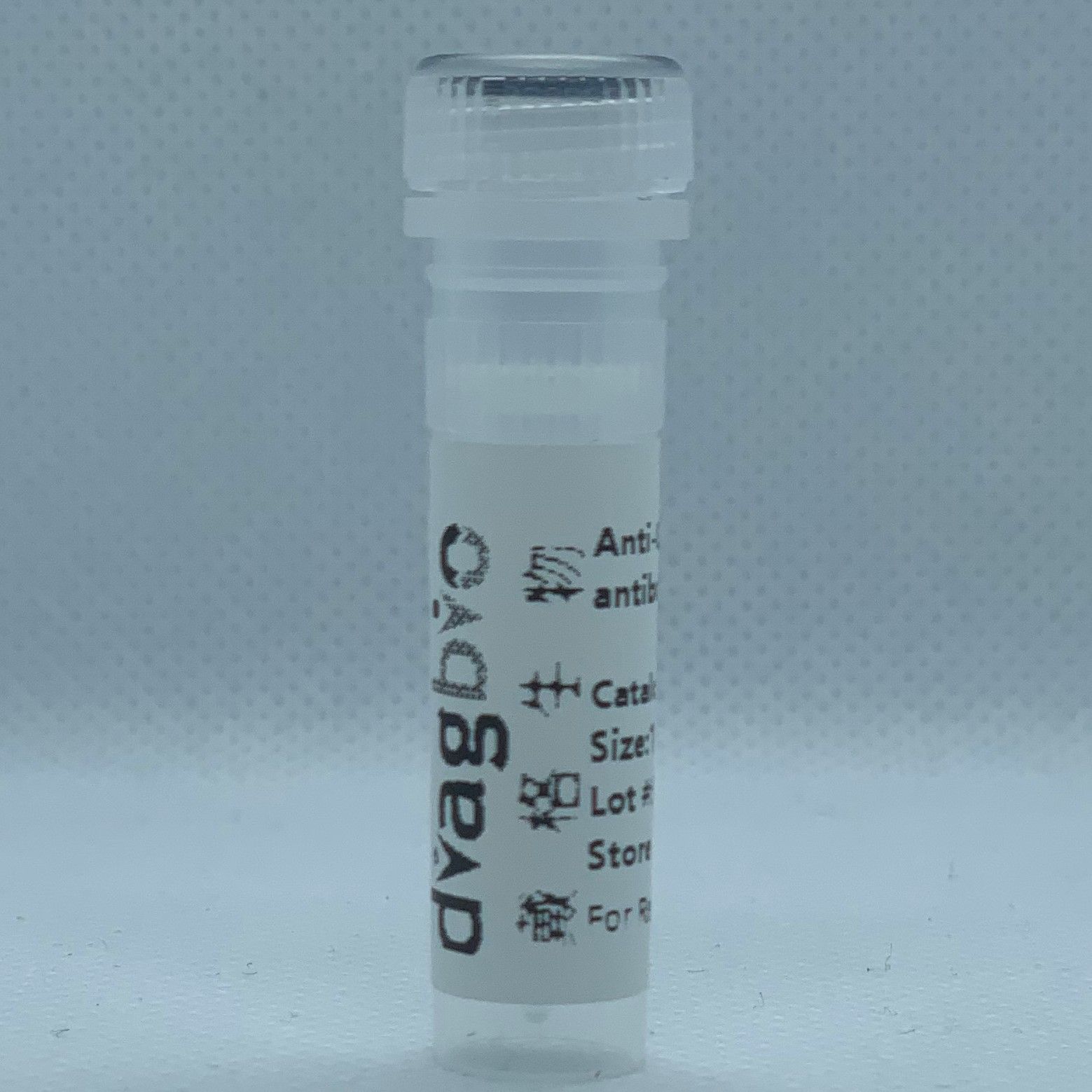 E Cadherin Recombinant Rabbit mAb