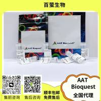 荧光染料OG488 DHPE 货号23302