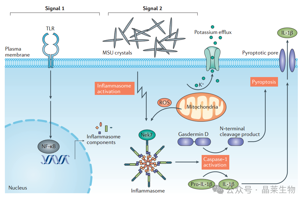 1733131258145820.png 640_wx_fmt=png&from=appmsg (2).png