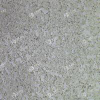 FLUC-人口腔舌鳞状癌细胞(CAL-33)