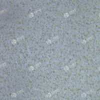 FLUC-大鼠雪旺细胞(RSC96)