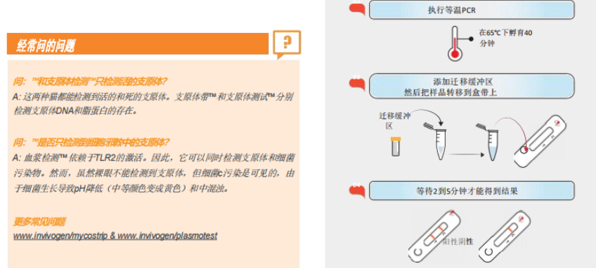 新闻图片10