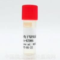 金龟子绿僵菌(可订）	 