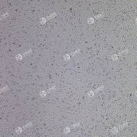 FLUC-小鼠肾足细胞(MPC-5)