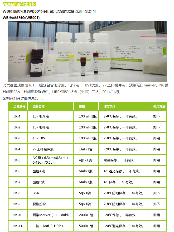 新闻图片2