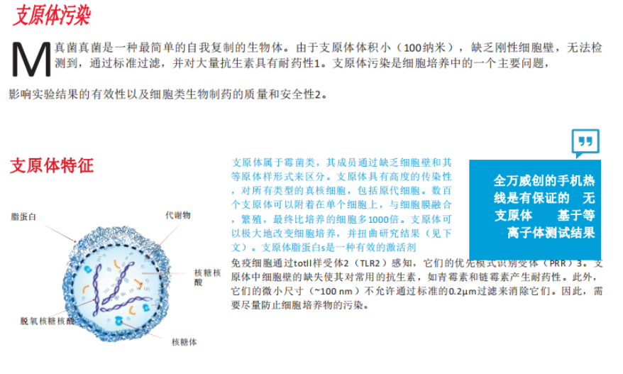 新闻图片6