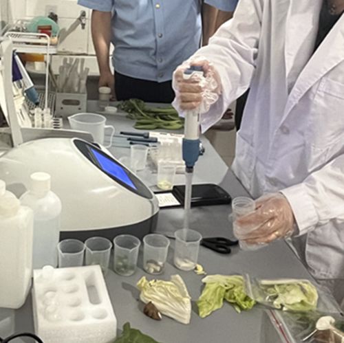 盐酸克伦特罗/莱克多巴胺/沙丁胺醇三联卡快速检测