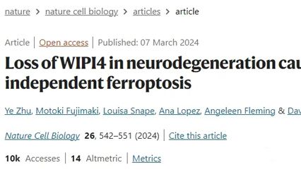 5篇高分SCI丨斑马鱼在铁死亡研究中的应用进展