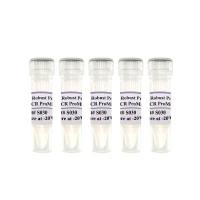 探针法荧光定量PCR预混液：2× Robust Probe qPCR ProMix