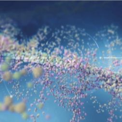 单分散聚乙二醇衍生物 ADC/PROTAC LINKER