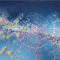 单分散聚乙二醇衍生物 ADC/PROTAC LINKER