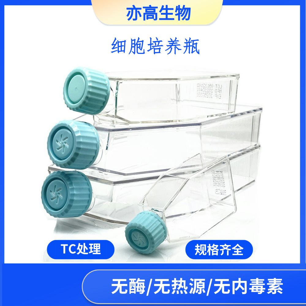 T25细胞培养瓶,25cm²,透气滤膜盖 ,TC处理