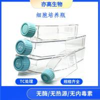 T25细胞培养瓶，25cm²，透气滤膜盖 ，TC处理