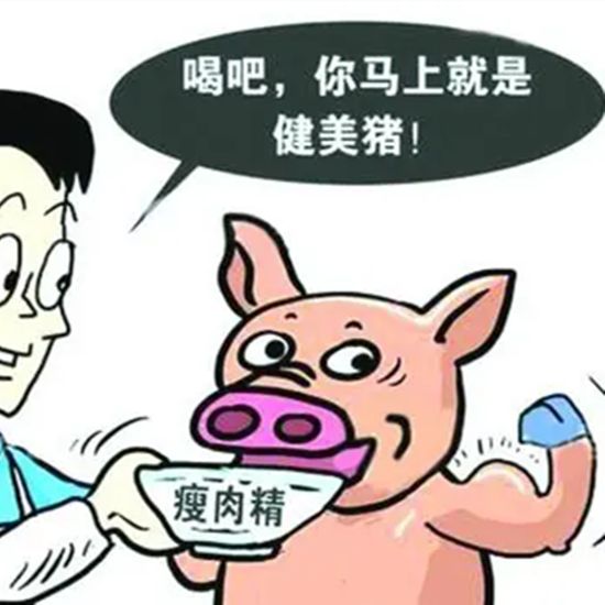 瘦肉速成肉快速检测试剂(胶体金法)