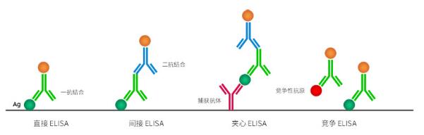 ELISA酶联免疫吸附测定各类型特点陈述