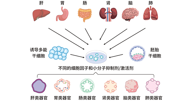 技术资料图片1