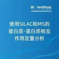 使用SILAC和MS的蛋白质-蛋白质相互作用定量分析