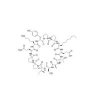 906547-89-5   | Lonodelestat (POL6014) | cyclo[ASIPPQKYPPNle(bu)ET]  | hNE抑制剂 