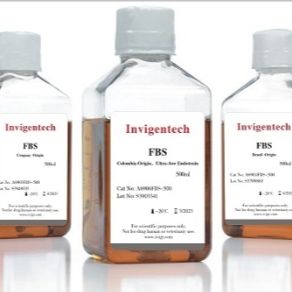 FBS Australia Origin(胎牛血清澳洲血源)