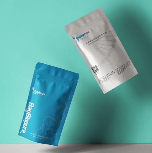 Bayscript All-in-One qRT Mix with dsDNase