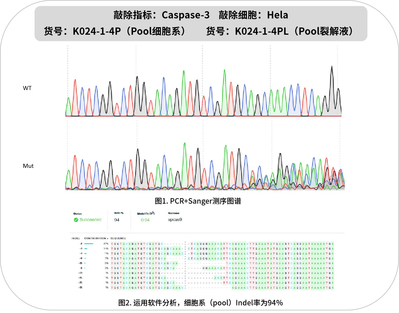 新闻图片11