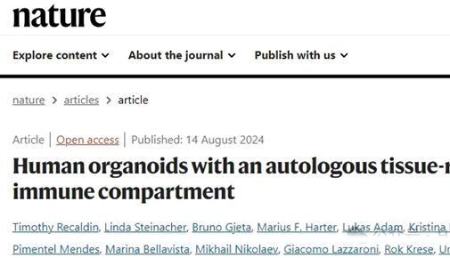 IF=50.5丨Nature：新型人肠道类器官模型助力炎症性疾病研究