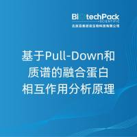 基于Pull-Down和质谱的融合蛋白相互作用分析原理