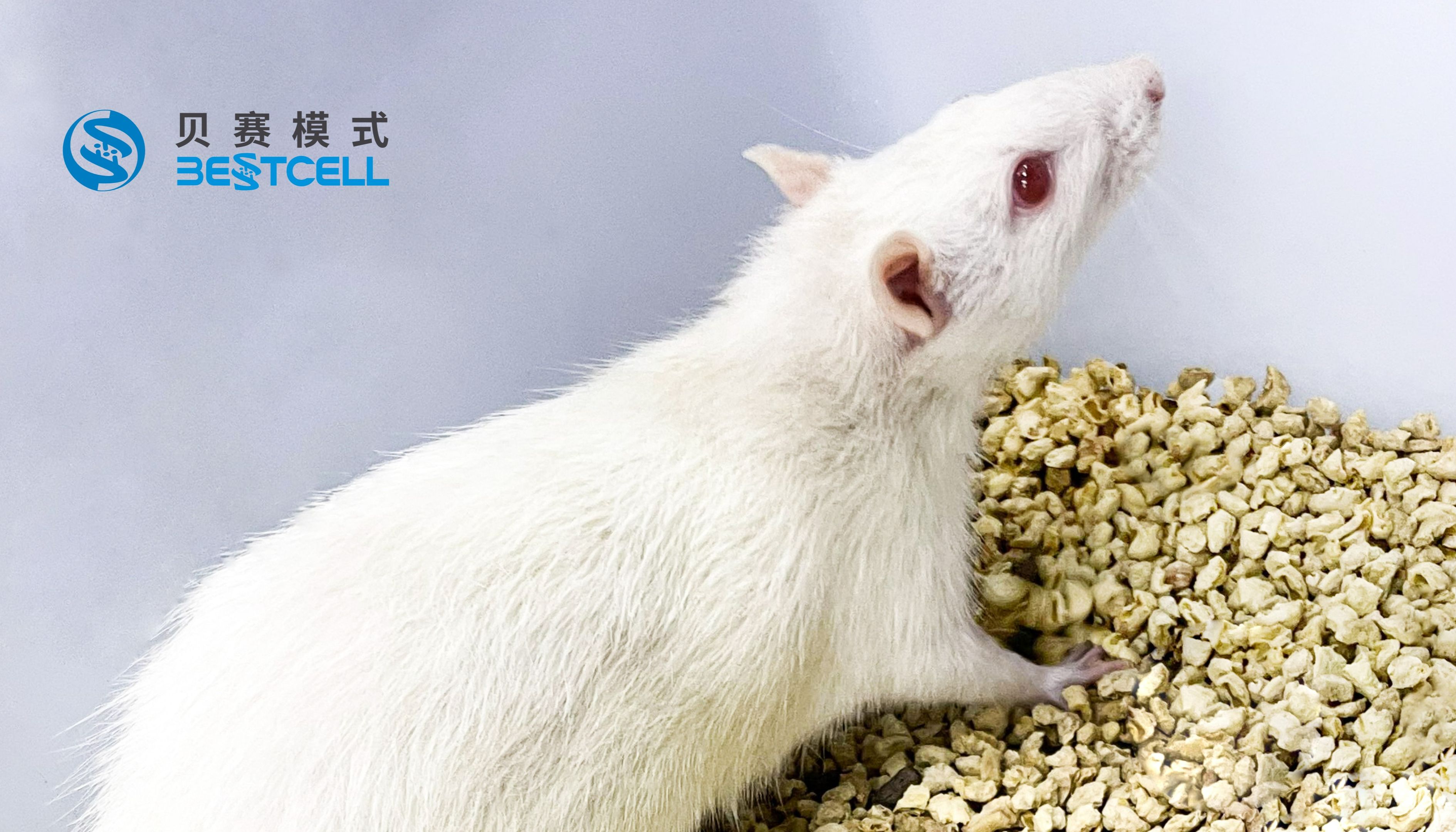 动物模型 | CUMS法构建小鼠抑郁症模型