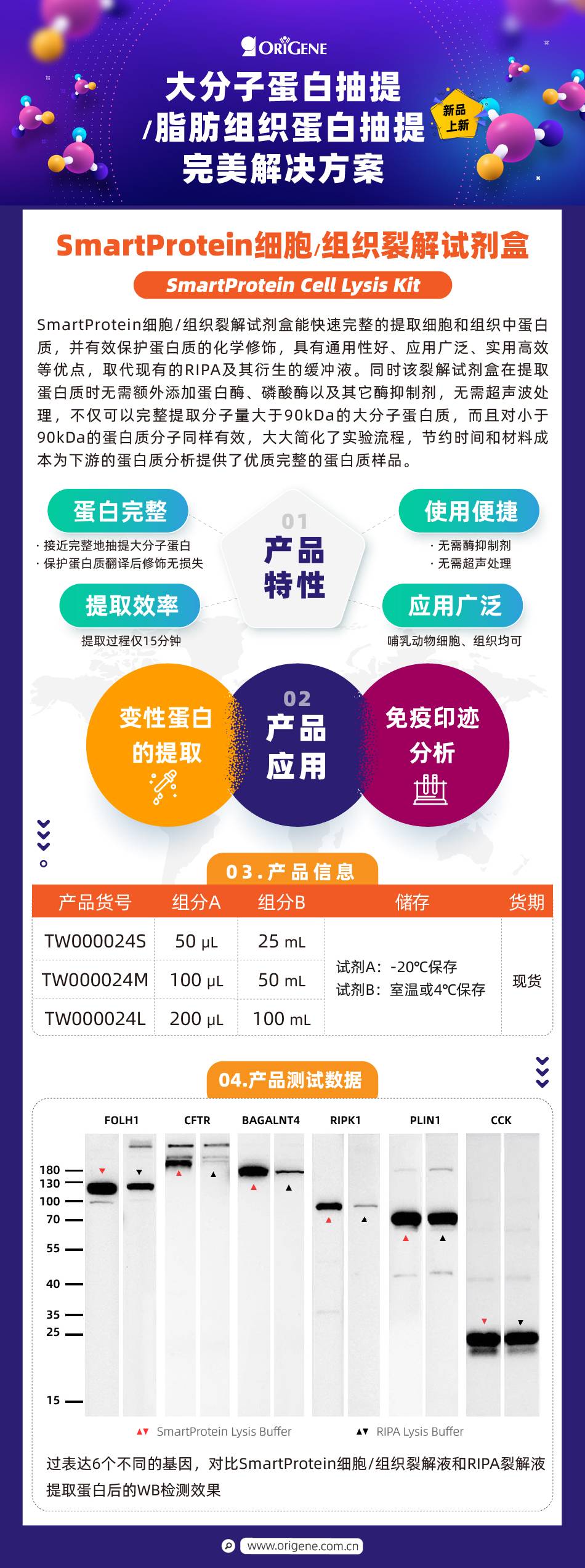 OriGene新品速递｜大分子蛋白抽提&脂肪组织蛋白抽提完美解决方案