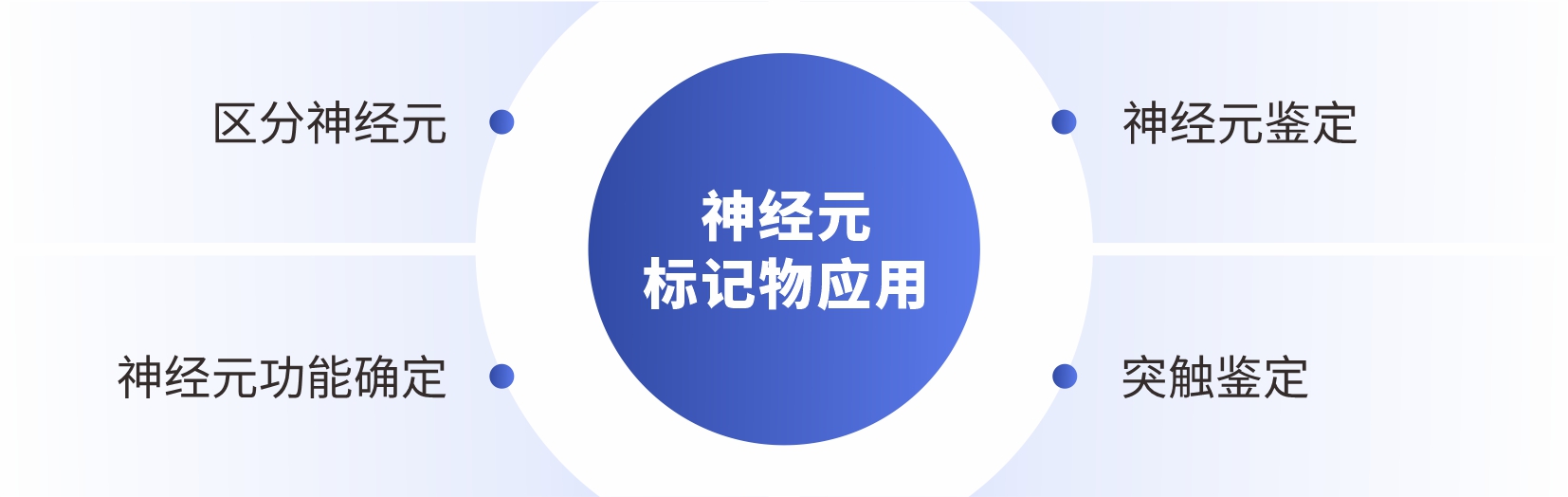 产品细节图片2