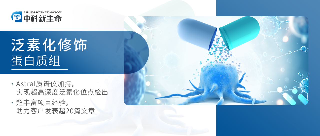 项目文章Adv Mater | 重医附二院联合国家纳米科学中心等团队开发靶向递送纳米平台增强PROTAC蛋白降解能力