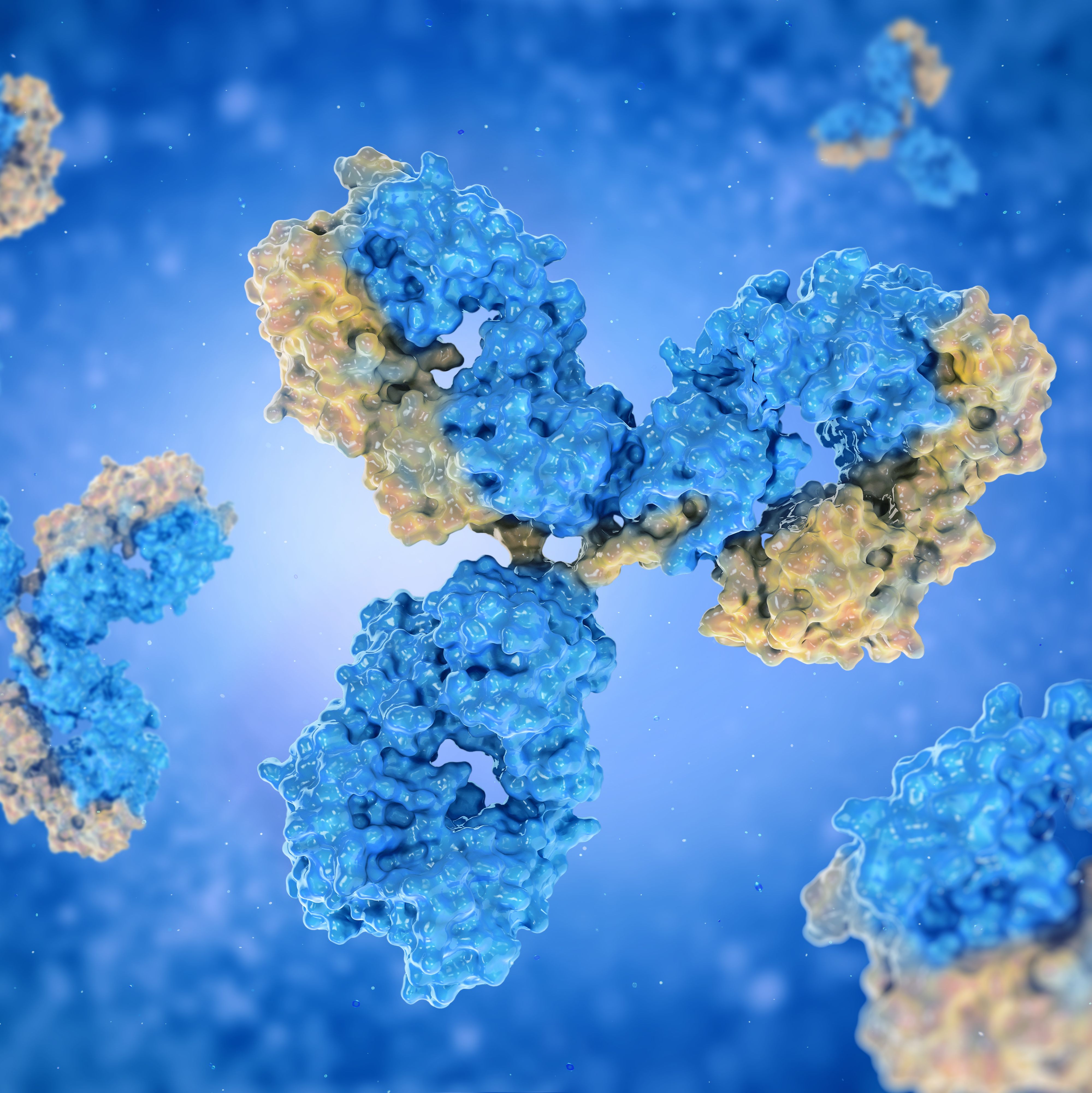 神经生物学抗体