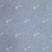 FLUC-中国仓鼠卵巢细胞(CHO-K1)