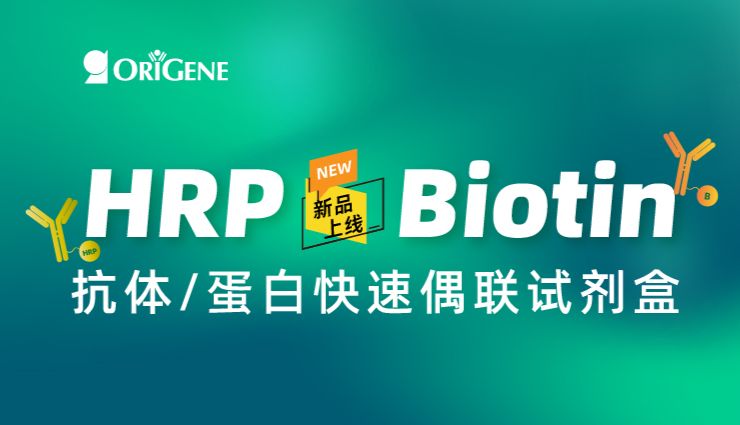 OriGene新品速递｜HRP、生物素快速偶联试剂盒