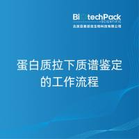 蛋白质拉下质谱鉴定的工作流程