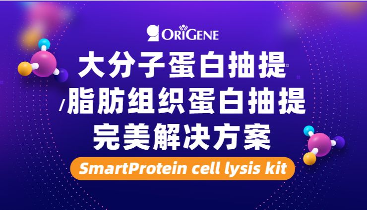 OriGene新品速递｜大分子蛋白抽提&amp;脂肪组织蛋白抽提完美解决方案