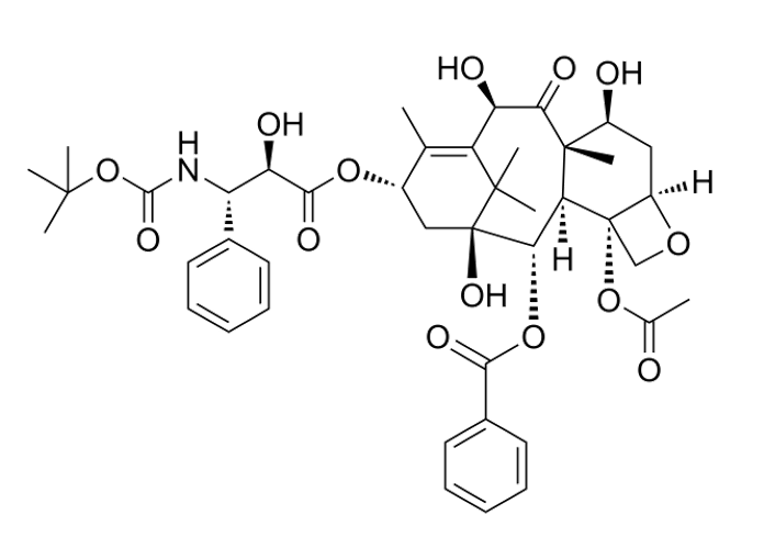 多西他赛耐药株（K562/Docetaxel）