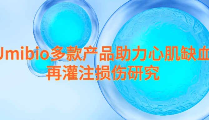 IF=10.6 | Umibio外泌体红色荧光标记染料-PKH26等多款产品助力客户心肌缺血再灌注损伤研究！
