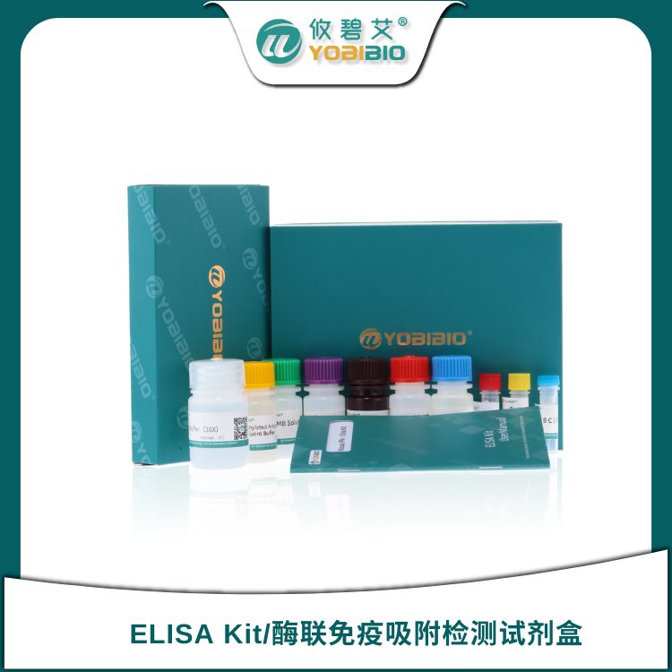 Human EGR1 Elisa Kit（人早期生长应答蛋白1）